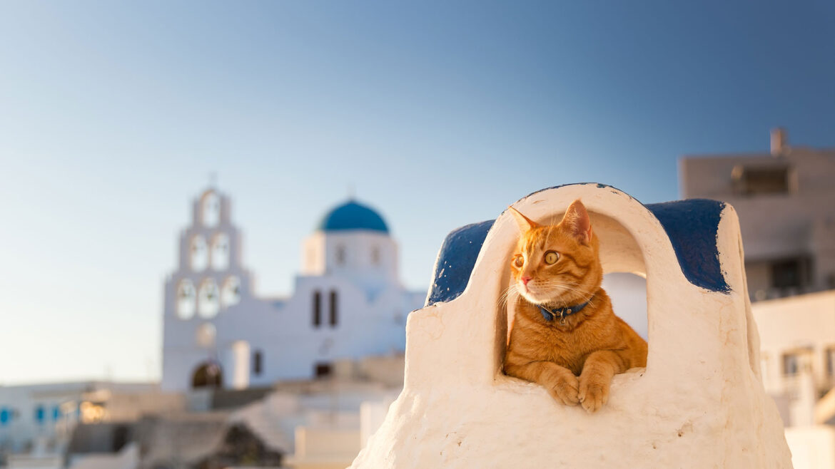 header-PS-summer-2020