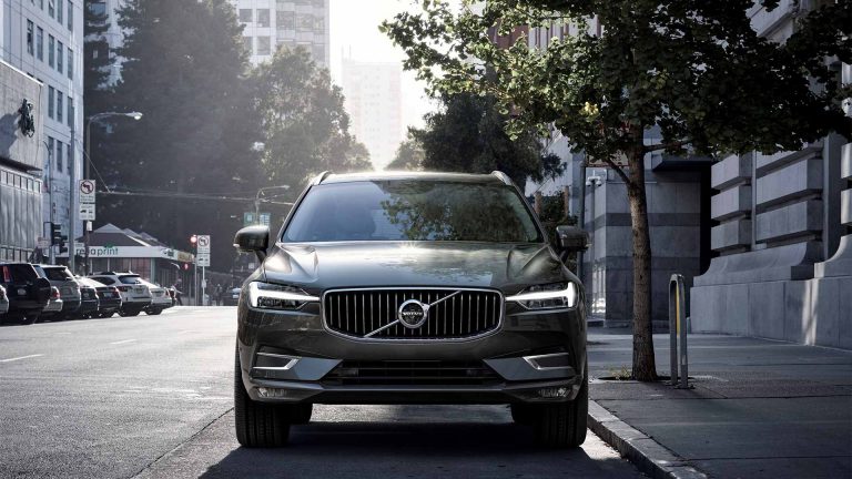 Volvo czworonogom