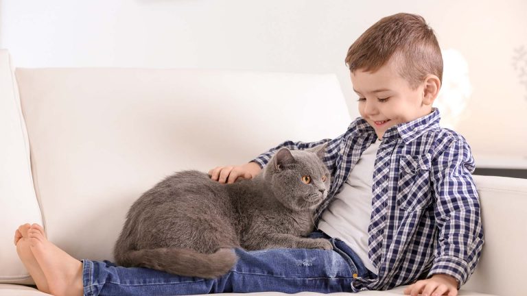 Gussto Gastro Intestinal, czyli dbamy szczególnie o chore koty