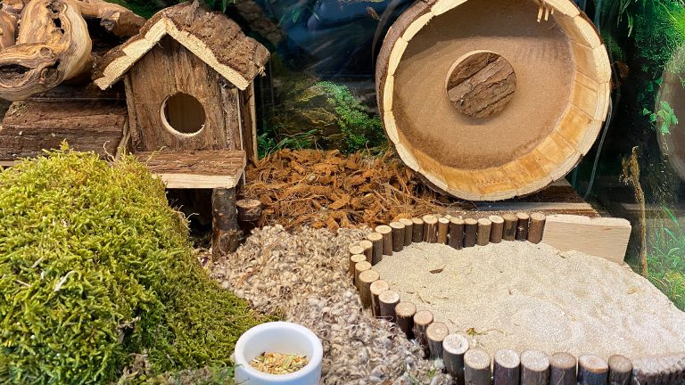 Wyściółka Joris No Smell to najlepsza podstawa domu Twojego gryzonia