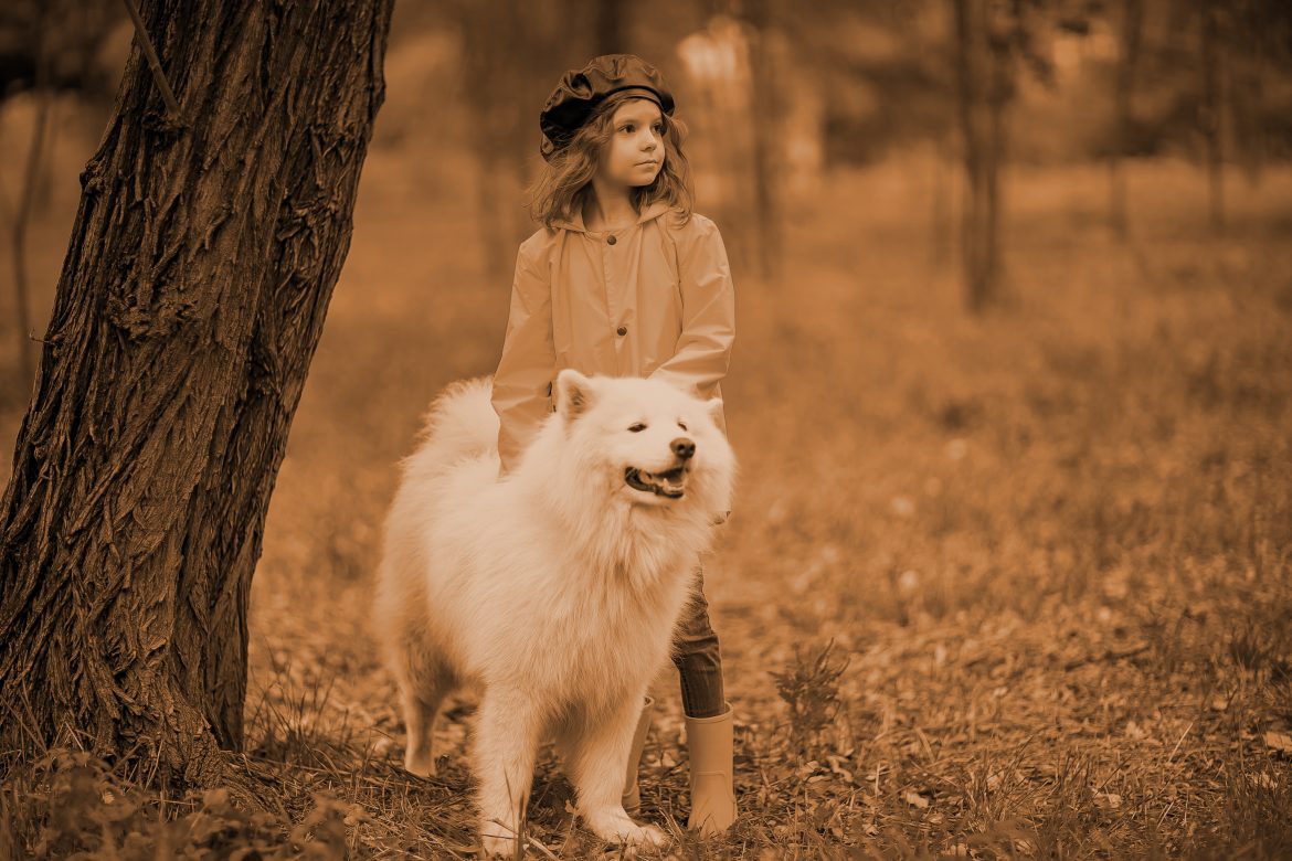 Dieta psów rosnących