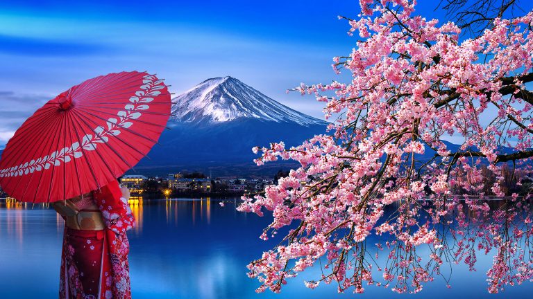 Japonia od kuchni. Prawdy i mity
