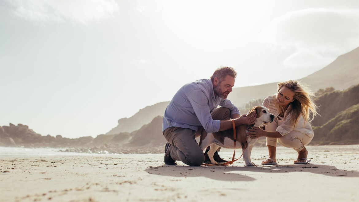 header-senior-dog