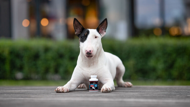 Kwasy EPA i DHA dla psa – Game Dog