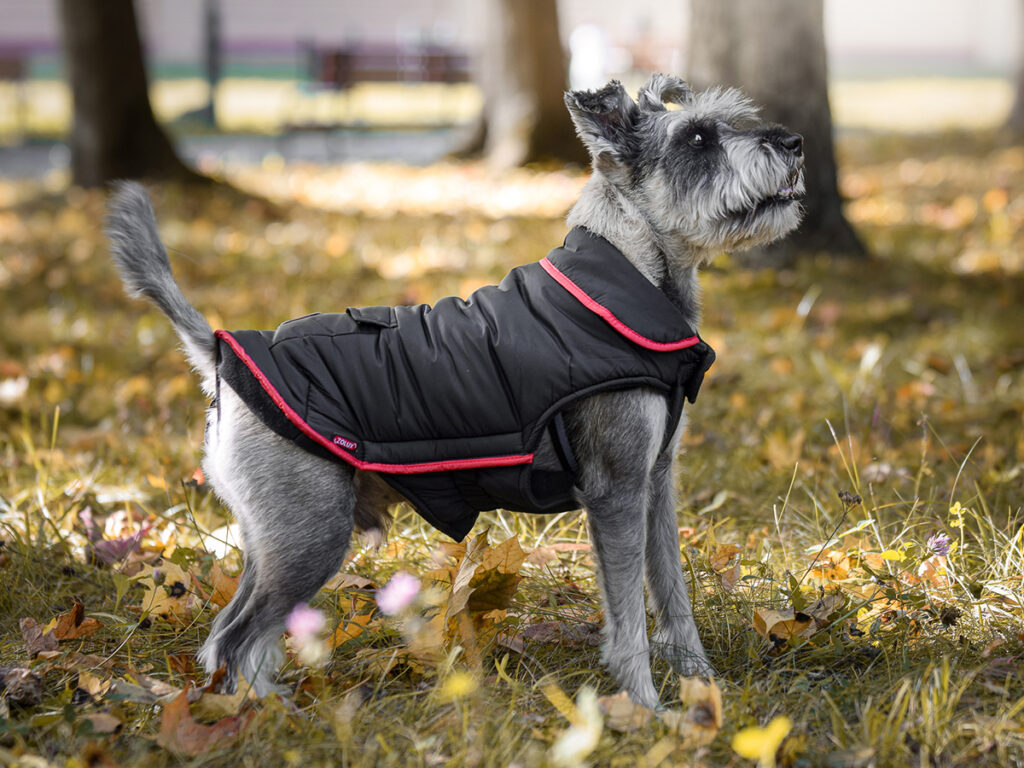 Zolux Double Cosmo - ubrania dla psa