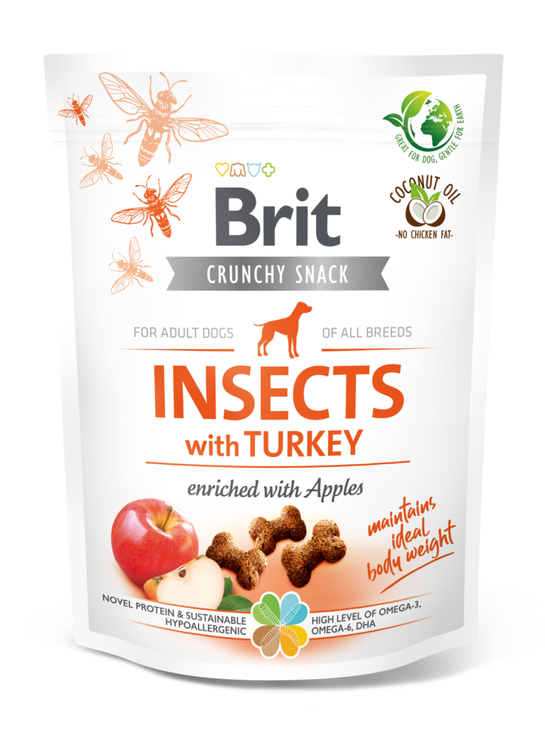 brit insects with turkey