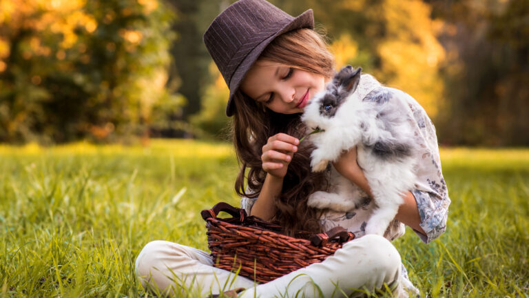Pets Style – Jesień 2020