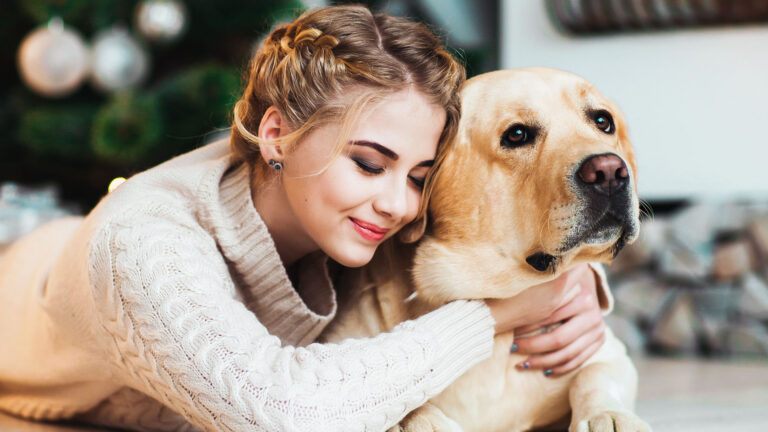 Pets Style – Święta 2021