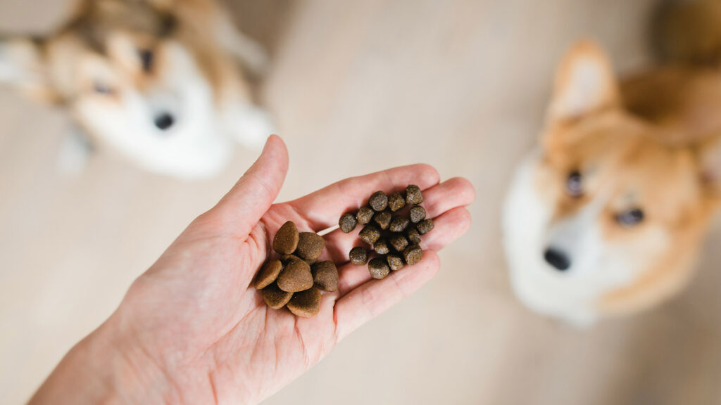 karmy monobiałkowe dla psa hahpy dog