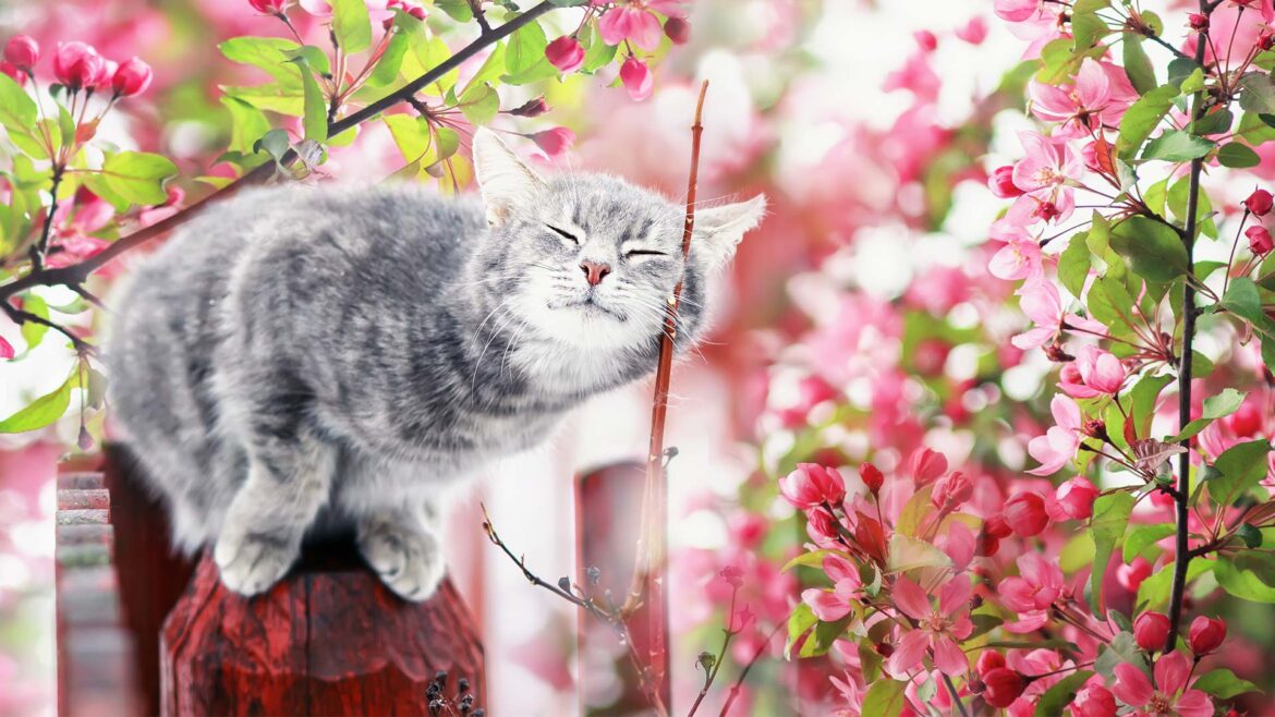 header-PS-spring2022