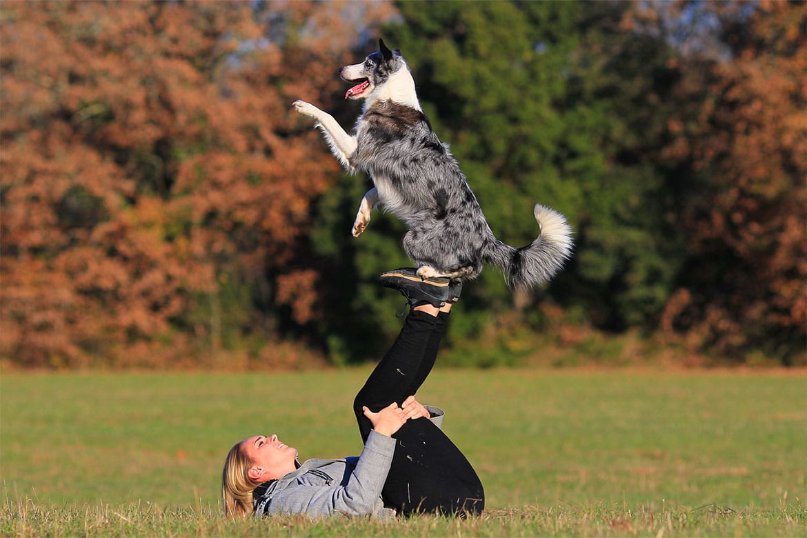 header-dog-dogdancing Międzynarodowy Dzień Tańca