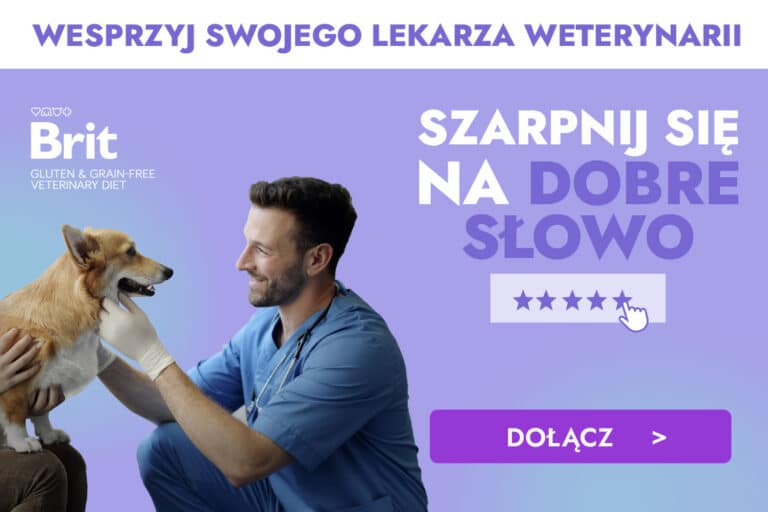 szarpnij się na dobre słowo