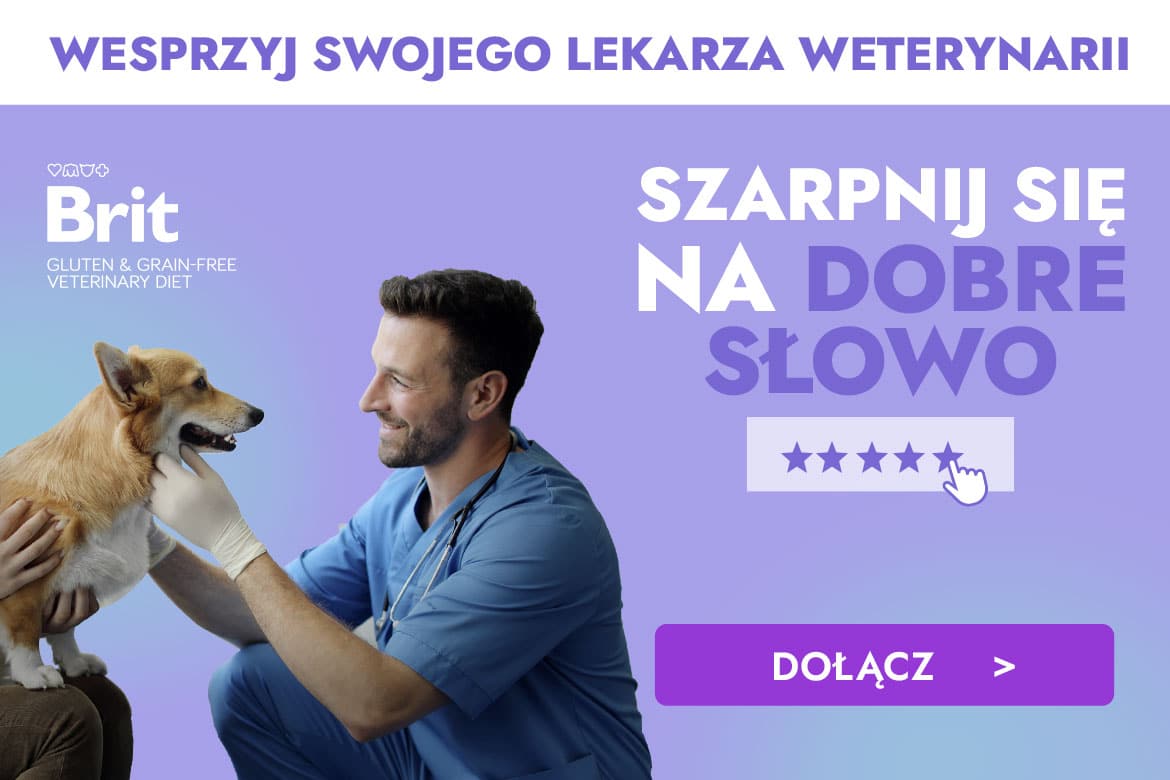 szarpnij się na dobre słowo
