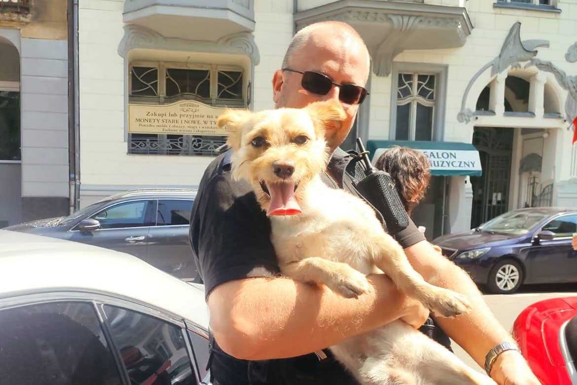 pies uratowany z nagrzanego samochodu