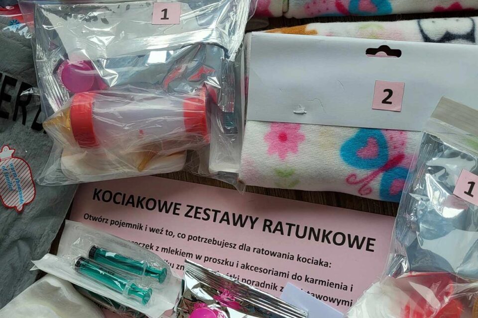 kociakowe zestawy ratunkowe