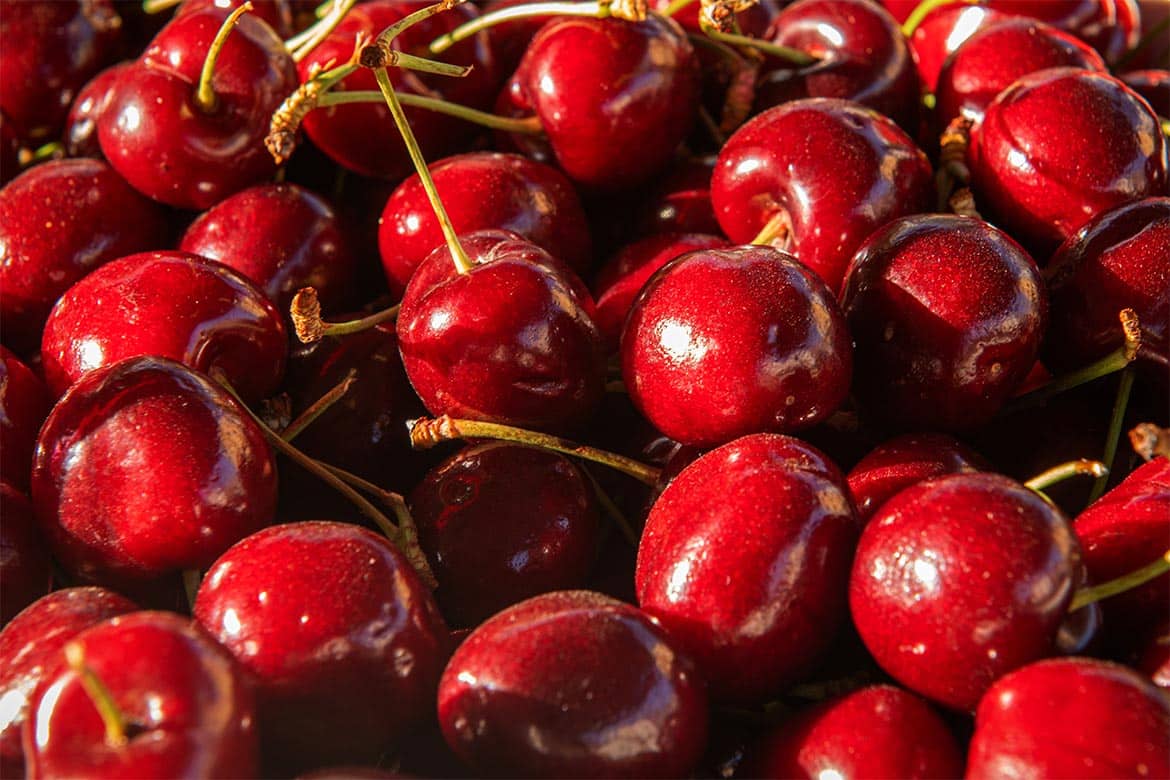 czy pies może jeść czereśnie