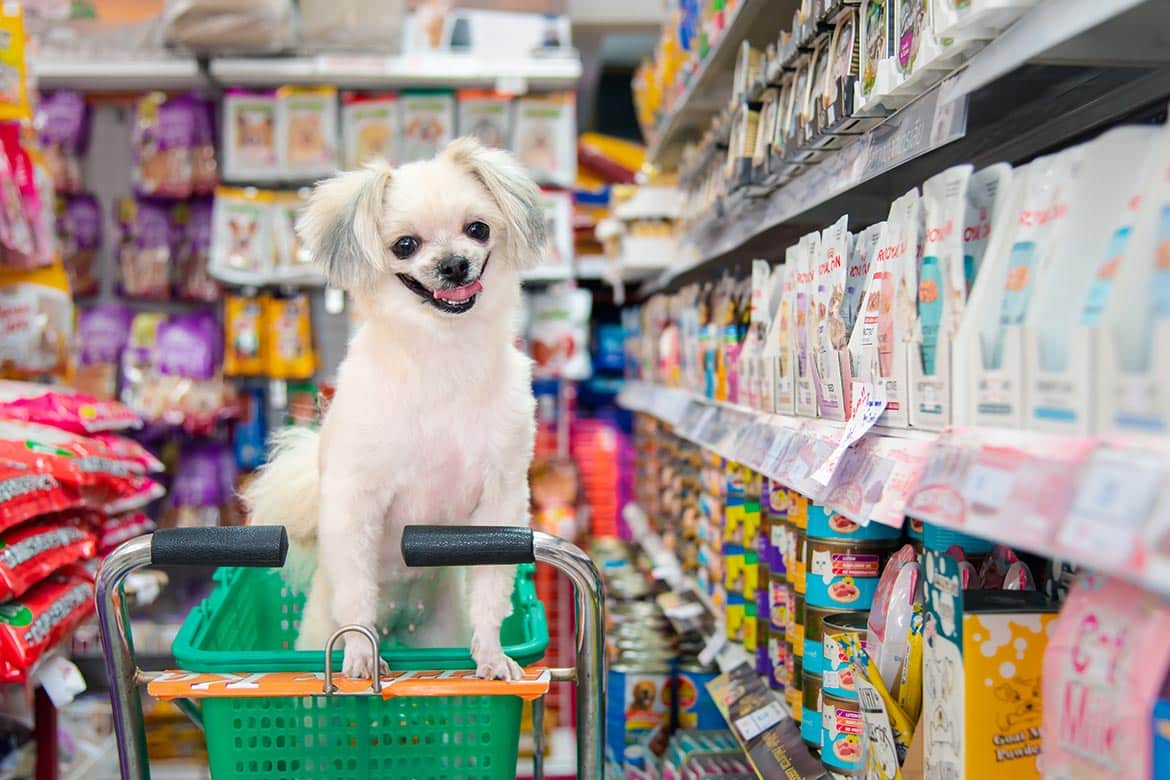 zakupy z psem