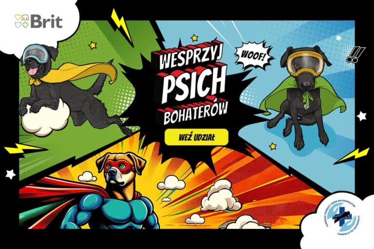 psi bohaterowie