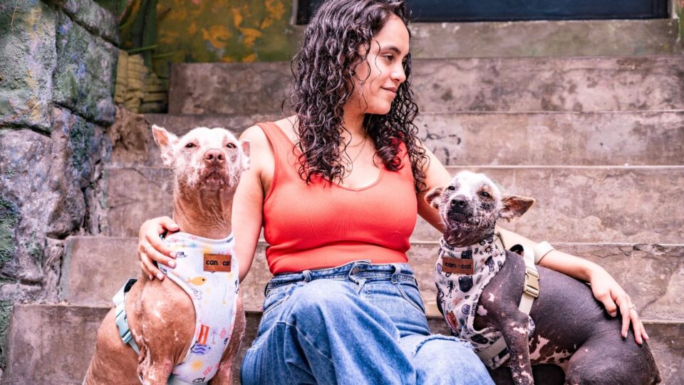 Dwa psy rasy Xoloitzcuintli o różnym umaszczeniu siedzące koło właścicielki