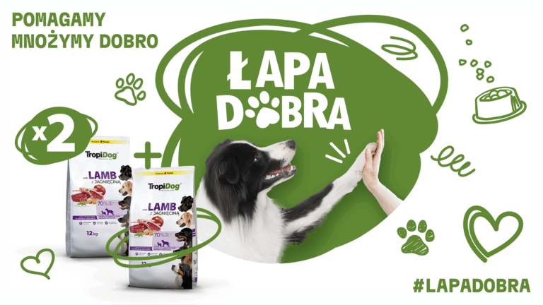 Łapa Dobra od TropiDoga